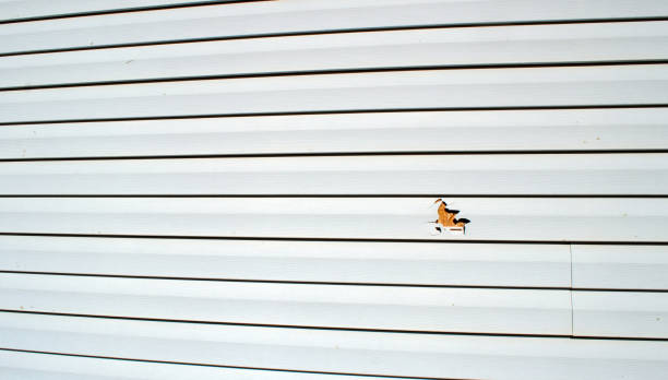 Best Stone Veneer Siding  in Milford, NJ